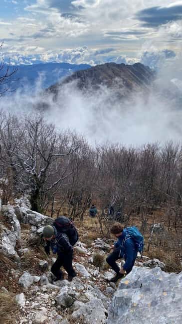 Tirana: Dajti National Park and Tujani Peak Hiking Tour - The Route and What You Can Expect