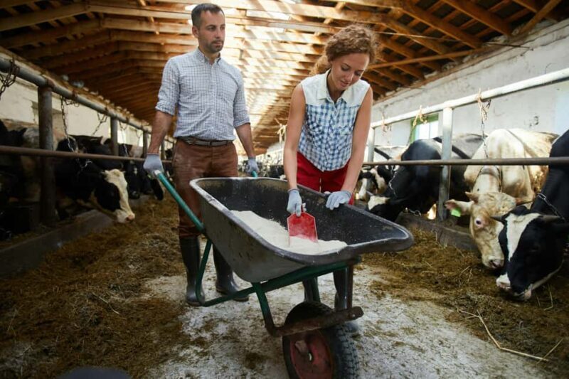 Tirana/Durrës/Golem: Farm Tour with Cheese & Raki Tasting - Exploring the Albanian Countryside: What the Tour Offers
