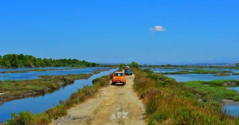 Tirana/Durres/Golem: Karavasta Lagoon Day Tour with Boat - Authentic Experiences and Practical Tips