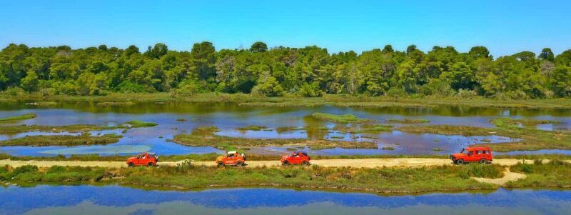 Tirana/Durres/Golem: Karavasta Lagoon Day Tour with Boat - The Sum Up