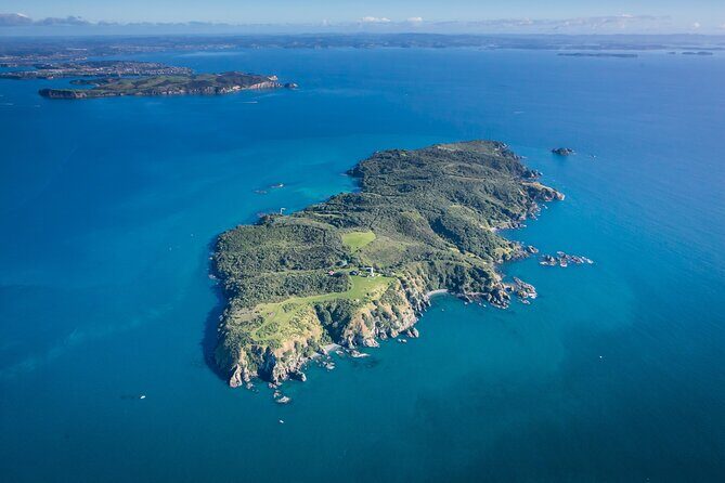 Tiritiri Matangi Island Discovery - from Auckland - A Detailed Look at the Experience