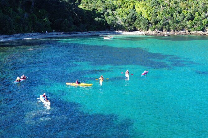 Tiritiri Matangi Sea Kayak Tour - Introduction: A Full-Day Sea Kayak Adventure with Stunning Views