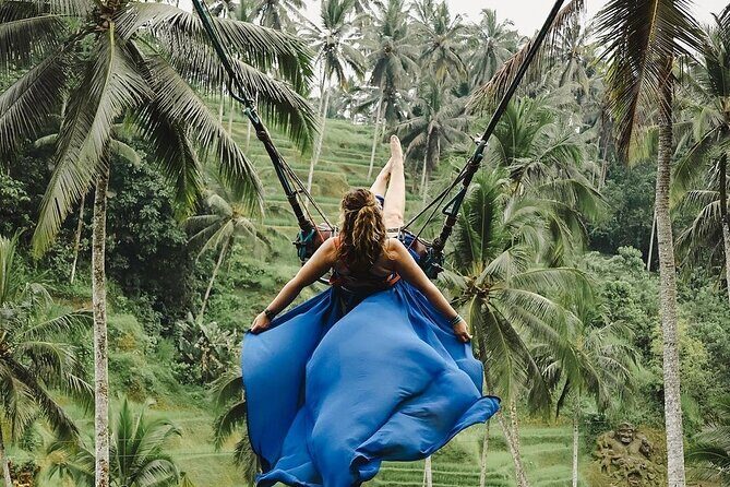 Tirta Empul temple, Jungle Swing and Waterfalls - Private Tour - In-Depth Review of the Tour Experience