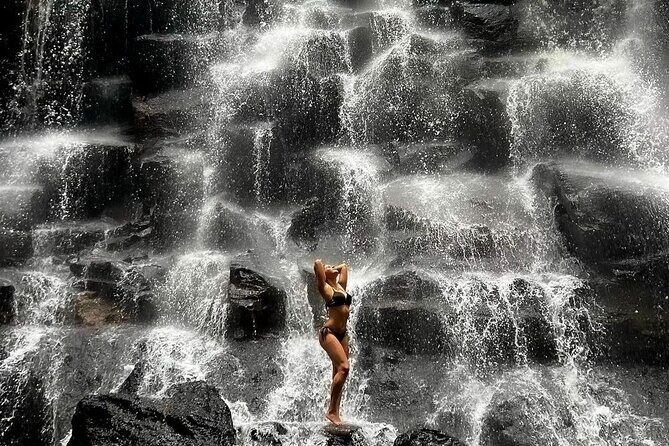 Tirta Empul temple, Jungle Swing and Waterfalls - Private Tour - FAQ