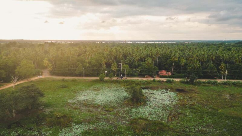 Tissamaharama: Sri Lankan Village Tour with Lunch - Visiting a Traditional Village: Local Life Up Close