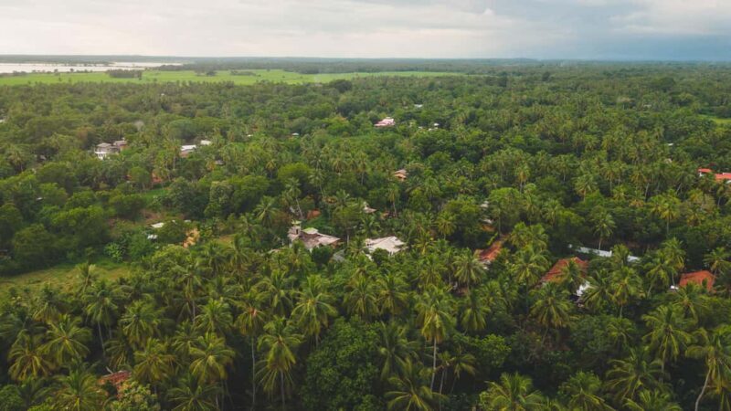 Tissamaharama: Sri Lankan Village Tour with Lunch - Activities: Bullock Cart Ride and Lake Gliding