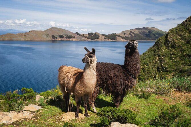 Titicaca Lake & Sun Island  2 Days Tour  English Speaking Guide - Key Points