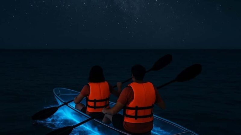 Titusville: Bioluminescent Clear Kayak Tour - Experience the Magic of Florida’s Bioluminescent Waters in Titusville