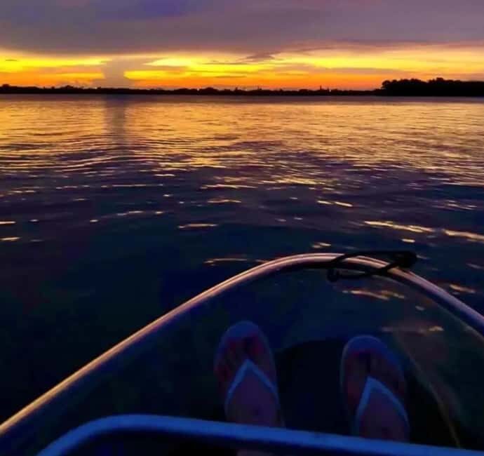 Titusville: Bioluminescent Clear Kayak Tour - Who Will Love This Tour?