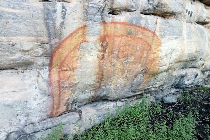 Tiwi By Design Day Tour - FAQs