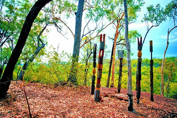 Tiwi Islands Cultural Experience from Darwin Including Ferry - Who Should Consider This Tour?