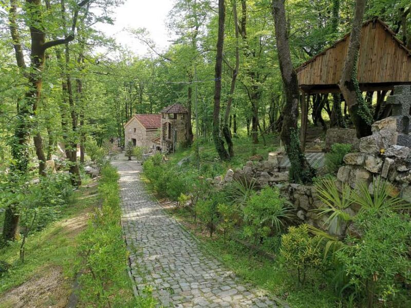 Tkibuli Day Trip with Wine & Tea Tasting from Kutaisi - Who Will Enjoy This Tour?