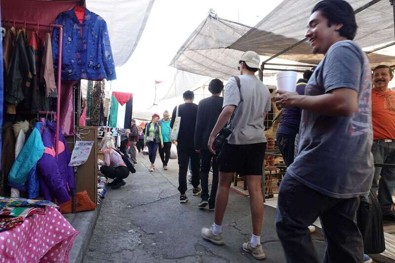 Tlatelolco and La lagunilla Market Mexico City Walking tour - Possible Drawbacks