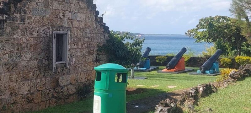 Tobago: Caribbean Coast Tour with Waterfall Swim - Historical and Cultural Stops