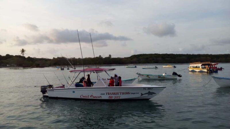 Tobago: Coastal Boat Tour with Snorkeling and Rum Punch - Who Will Love This Tour?
