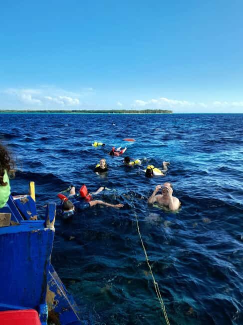 Tobago: Coral Reef Boat Tour with BBQ and Transfer - Key Points