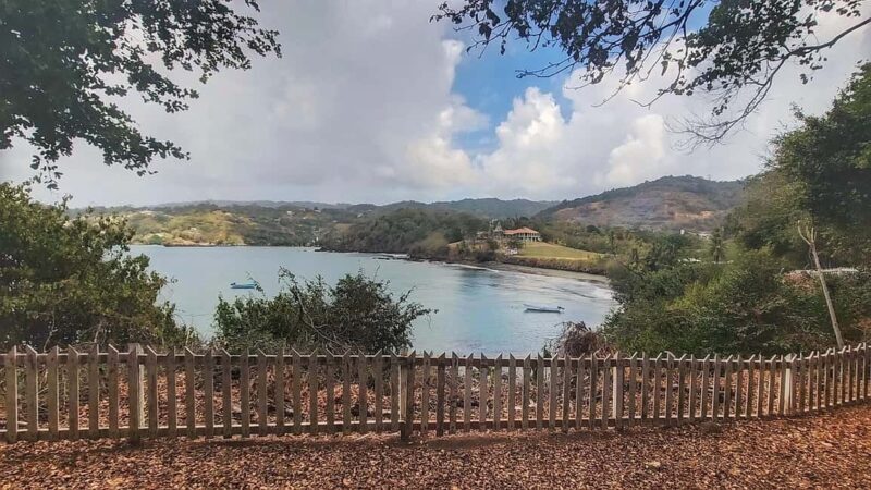 Tobago: Full Day Atlantic Coast Tour with Lunch - Key Points