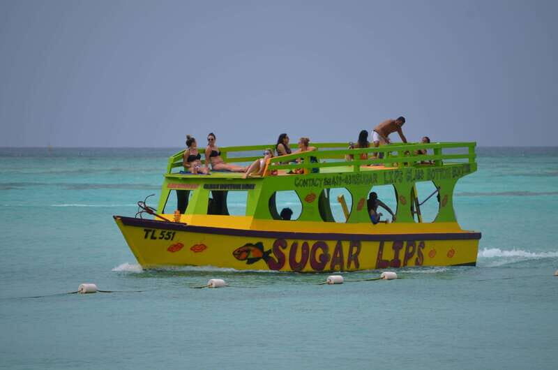 Tobago: Glass Bottom Boat & Highlights Tour - Who Should Book This Tour?