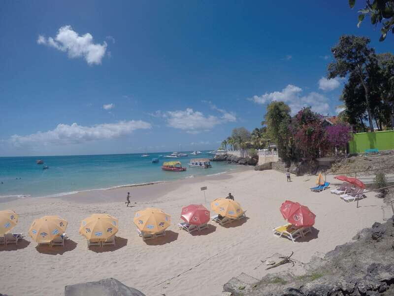 Tobago: Glass Bottom Boat & Highlights Tour - Frequently Asked Questions