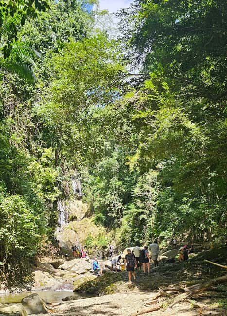 Tobago: Half Day Atlantic Coast Tour with Transfer - An In-Depth Look at the Tobago Half-Day Atlantic Coast Tour