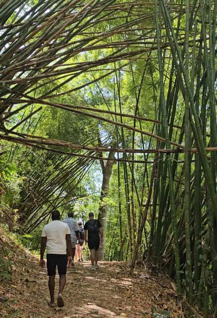 Tobago: Half Day Atlantic Coast Tour with Transfer - Who Should Consider This Tour?