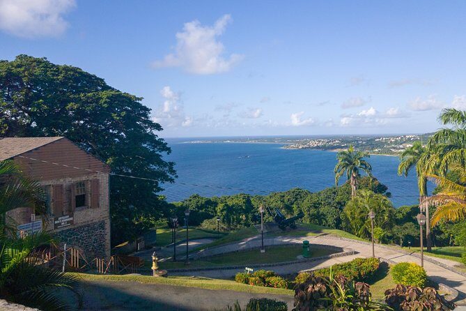 Tobago Island Tour - Tobago Island Tour Review: The Perfect Half-Day Island Adventure