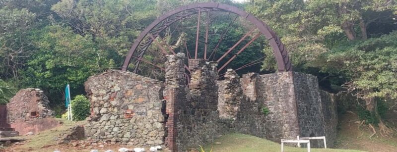 Tobago: Island Tour with Lunch and Hotel Pickup - What Travelers Say