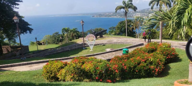 Tobago: Island Tour with Lunch and Hotel Pickup - Who Will Enjoy This Tour?