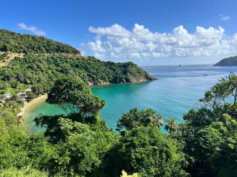 Tobago: Island Tour with Rainforest Drive and Scenic Lookout - Key Points