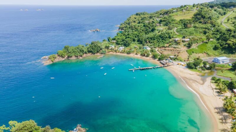 Tobago: Island Tour with Rainforest Drive and Scenic Lookout - Exploring Tobago in 5 Hours: A Practical Guide