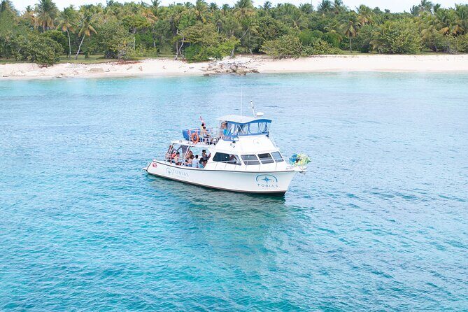 Tobias Icacos Half Day Tour - In-Depth Look at the Tobias Icacos Half Day Tour