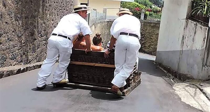 Toboggan Ride & Madeira Wine Tasting Tour - A Detailed Look at the Madeira Toboggan & Wine Tour