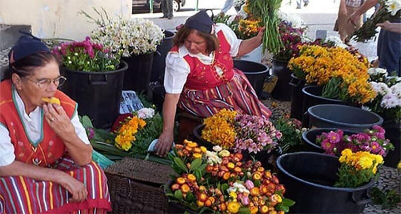 Toboggan Ride & Madeira Wine Tasting Tour - Frequently Asked Questions