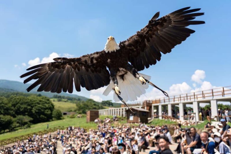 Tochigi: Nasu Animal Kingdom Entry Ticket - Exploring Nasu Animal Kingdom: What You Can Expect