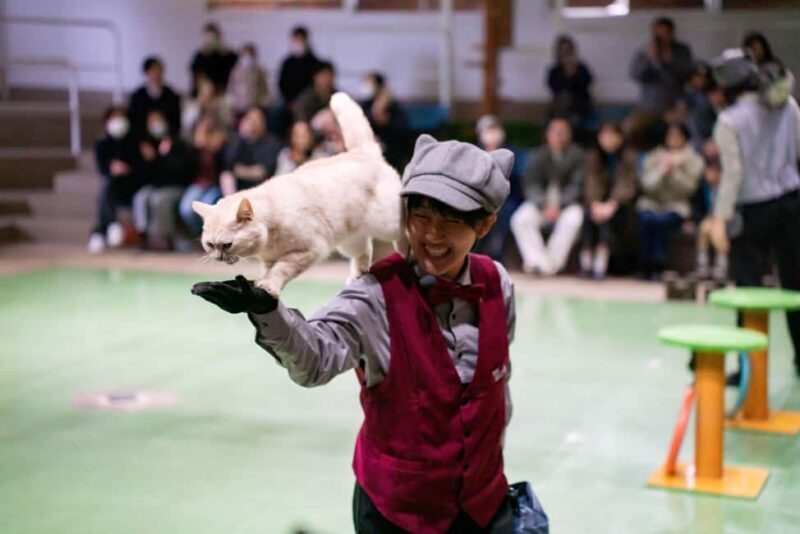 Tochigi: Nasu Animal Kingdom Entry Ticket - Why Choose Nasu Animal Kingdom?