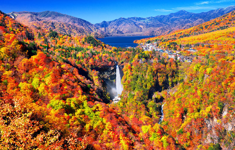 Tochigi Nikko Secret Scenic Spots | Toshogu Shrine, Iroha-zaka, Lake Chuzenji, Kegon Falls Day Tour | Departing from Tokyo/Shinjuku - From Tokyo Streets to Nikko’s Mountain Air