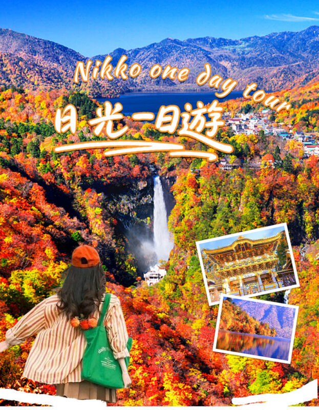 Tochigi Nikko Secret Scenic Spots | Toshogu Shrine, Iroha-zaka, Lake Chuzenji, Kegon Falls Day Tour | Departing from Tokyo/Shinjuku - Toshogu Shrine: Give the Carvings Time