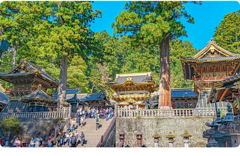Tochigi Nikko Secret Scenic Spots | Toshogu Shrine, Iroha-zaka, Lake Chuzenji, Kegon Falls Day Tour | Departing from Tokyo/Shinjuku - What the Price Buys, and What It Doesn’t