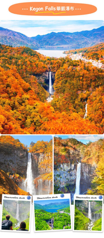 Tochigi Nikko Secret Scenic Spots | Toshogu Shrine, Iroha-zaka, Lake Chuzenji, Kegon Falls Day Tour | Departing from Tokyo/Shinjuku - The Guide Can Shape the Day