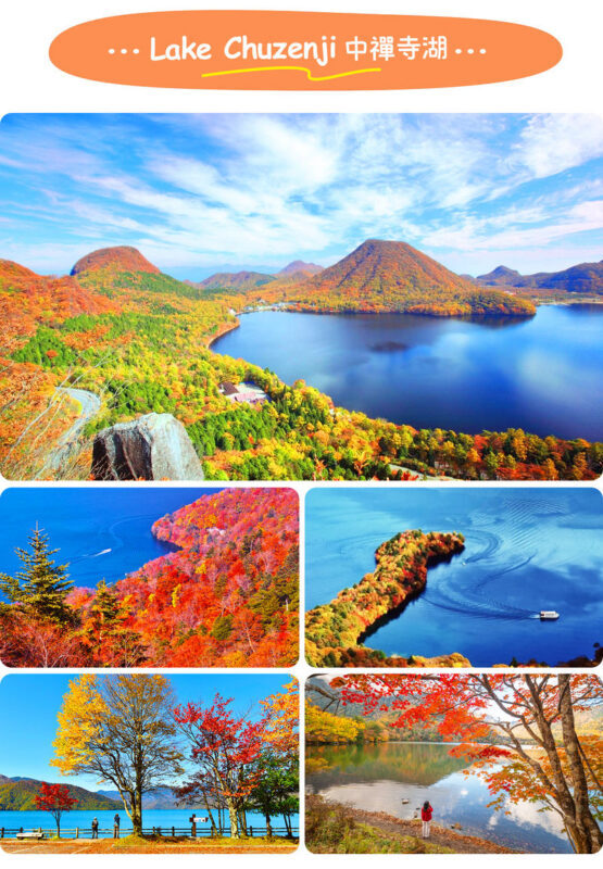 Tochigi Nikko Secret Scenic Spots | Toshogu Shrine, Iroha-zaka, Lake Chuzenji, Kegon Falls Day Tour | Departing from Tokyo/Shinjuku - Practical Details Before You Book