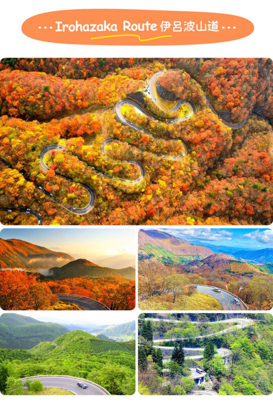 Tochigi Nikko Secret Scenic Spots | Toshogu Shrine, Iroha-zaka, Lake Chuzenji, Kegon Falls Day Tour | Departing from Tokyo/Shinjuku - Is This Nikko Day Trip a Good Fit?