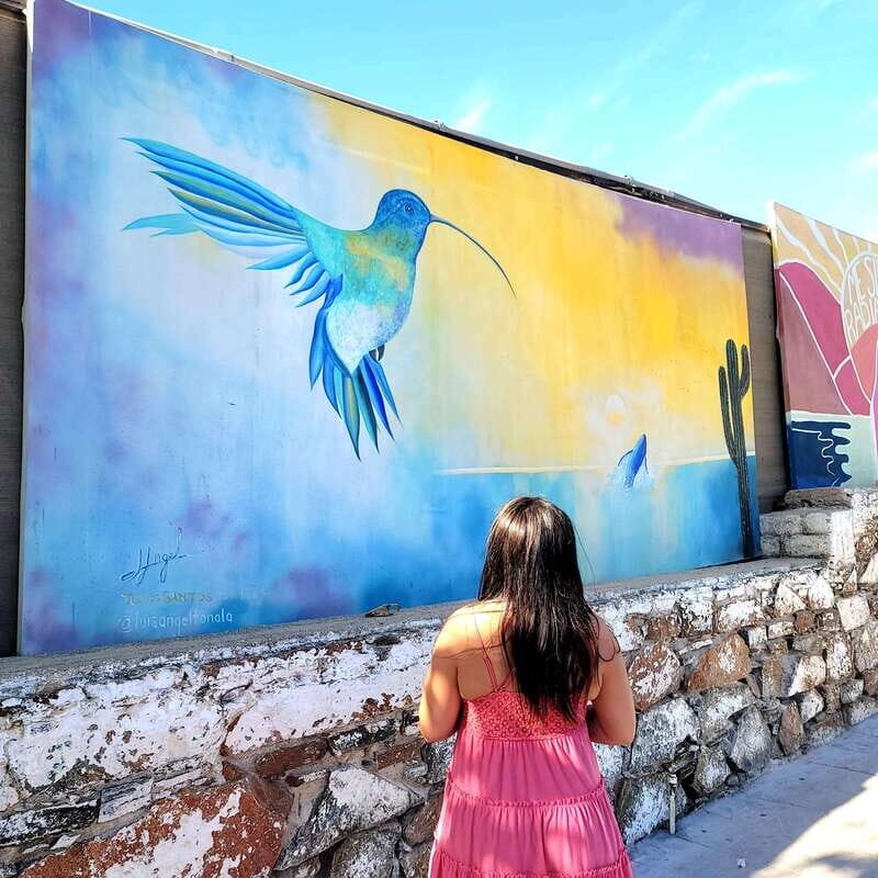 Todos Santos: Art & Culture Experience by Mexican Artist - Exploring Todos Santos: Art & Culture Experience by a Mexican Artist