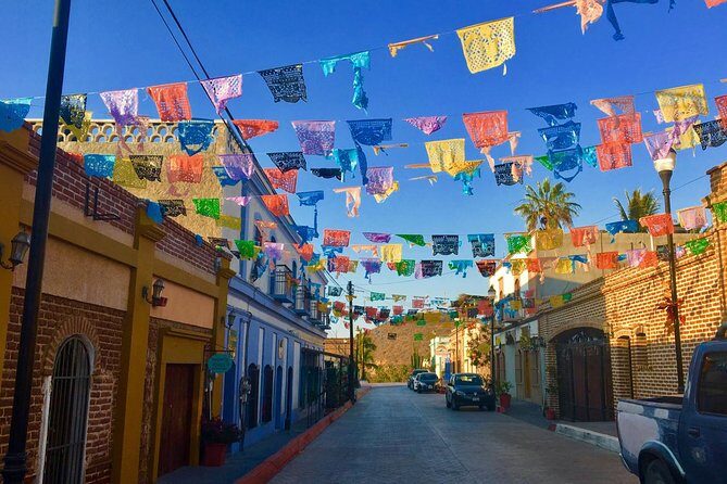 Todos Santos Day Trip from Cabo San Lucas - Who Will Love This Tour?