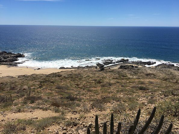 Todos Santos Day Trip from Cabo San Lucas - FAQ