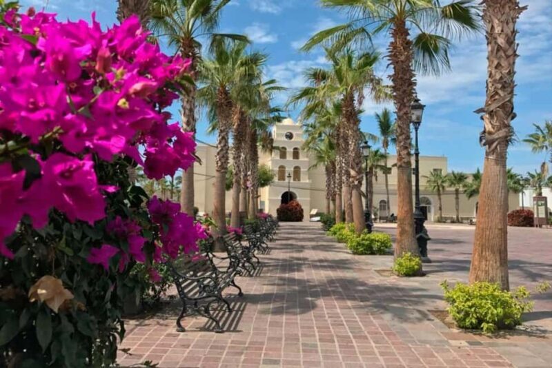 Todos Santos Encounter Tour - Todos Santos Encounter Tour: A Balanced Look at Baja’s Charming Heritage and Modern Flavors