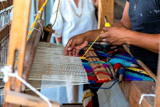 Todos Santos Magical Town Guided Tour - Who Will Love This Tour?