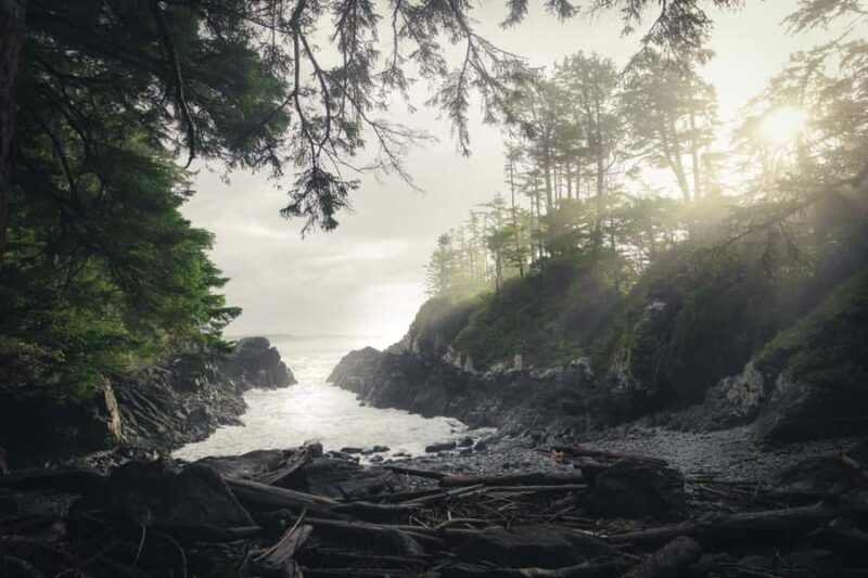 Tofino: Hot Springs Cove Tour with Wildlife Cruise - Tofino: Hot Springs Cove Tour with Wildlife Cruise — An Authentic Coastal Escapade