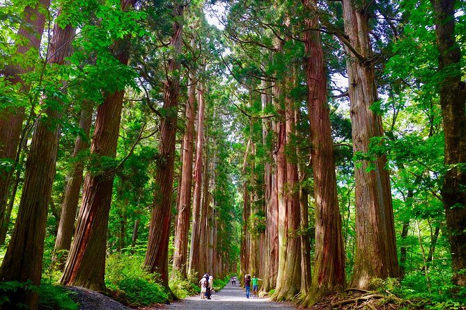Togakushi: A Serene Walk Through Sacred Forests & Soba Traditions - FAQ About the Togakushi Guided Tour