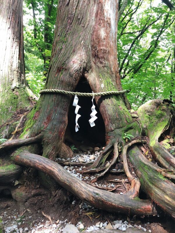 Togakushi Day Tour:Hands-on Soba Noodles,Ninja Village,Hidden Shrine - From Nagano Station to Togakushi