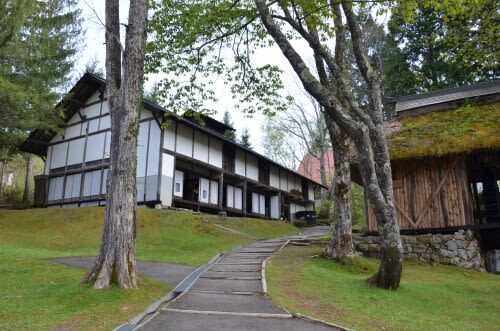 Togakushi Day Tour:Hands-on Soba Noodles,Ninja Village,Hidden Shrine - Walking the cedar avenue to Okusha Shrine